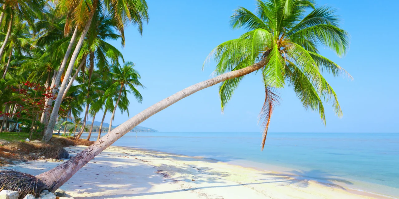 Living Close to Lamai Beach